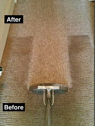 Carpet Cleaning Before and After Images