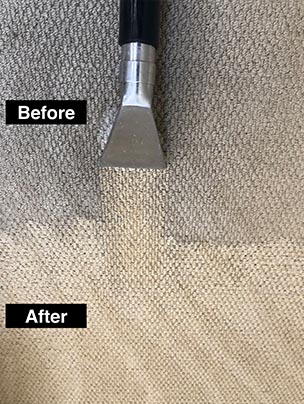 Carpet Cleaning Before and After Images