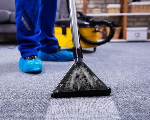 Read more about the article THE BENEFITS OF A PROFESSIONAL CARPET OR SOFA CLEAN