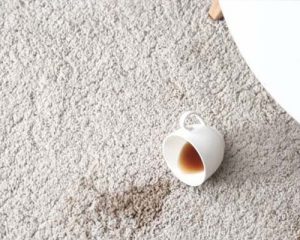 Read more about the article Emergency Tips for Spills and Stains