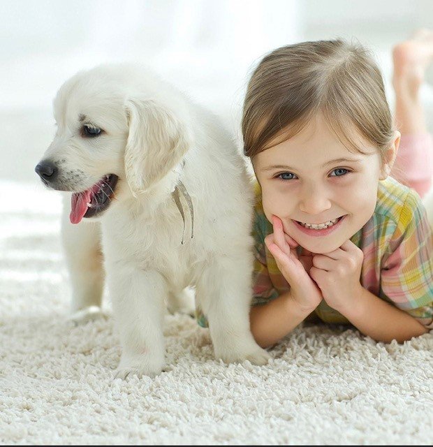 Dog and Child on Clean Carpet