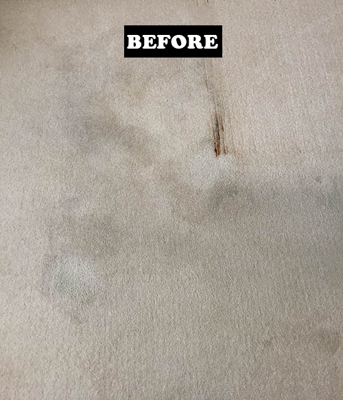 Carpet Cleaning Before and After Images