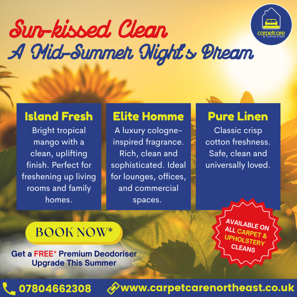 Summer Offer