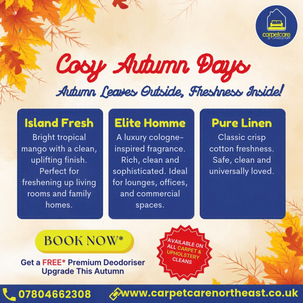 ccne-autumn-offer