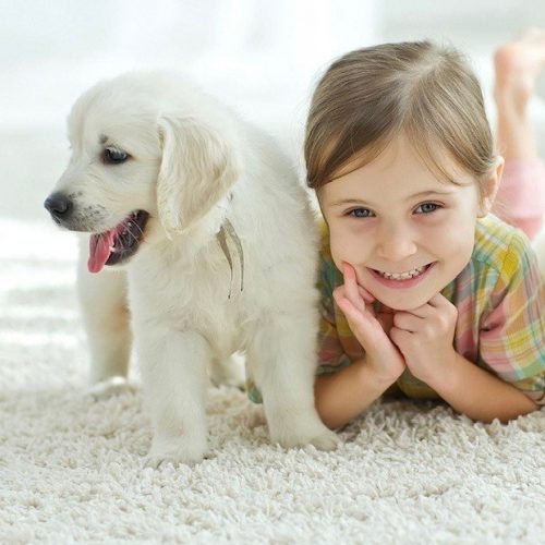 Dog and Child on Clean Carpet